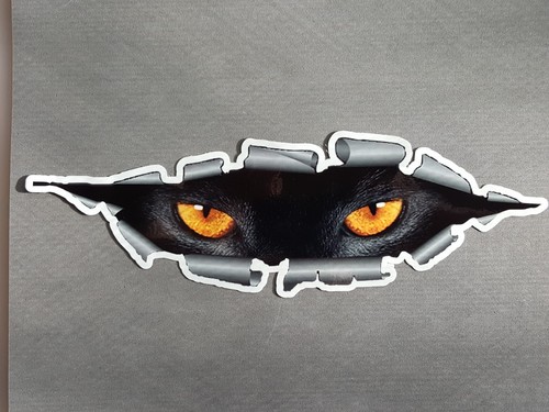 Cat eyes vinyl - 9", decal